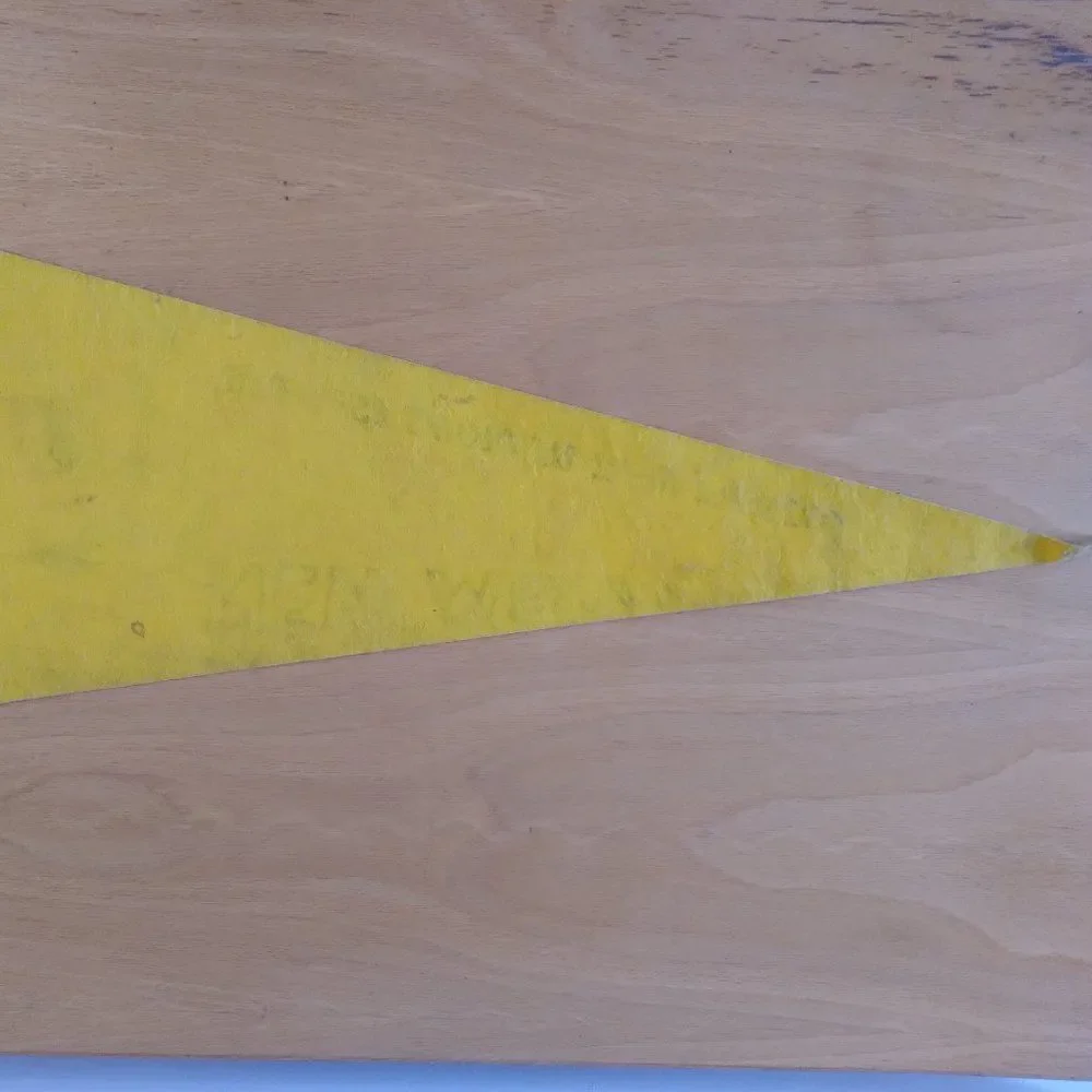 Vintage 50s 60s New Mexico State Fair Felt Pennant Flag 29